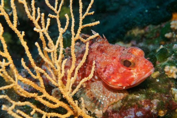 OLYMPUS DIGITAL CAMERA OLYMPUS DIGITAL CAMERA