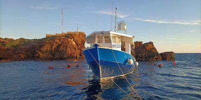 Scirys-LION-cip-frejus-plongee